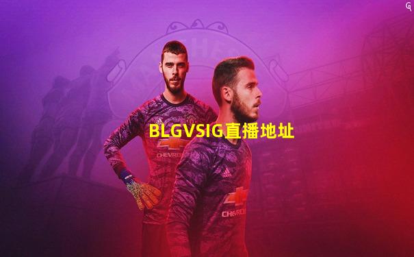 BLGVSIG直播地址