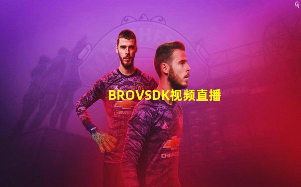 BROVSDK视频直播