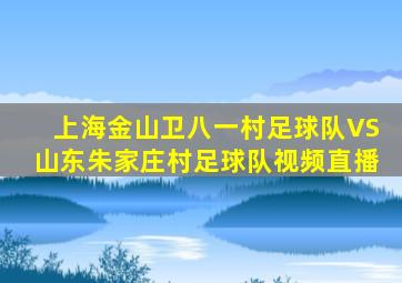 上海金山卫八一村足球队VS山东朱家庄村足球队视频直播