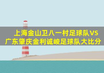 上海金山卫八一村足球队VS广东肇庆金利诚峻足球队大比分