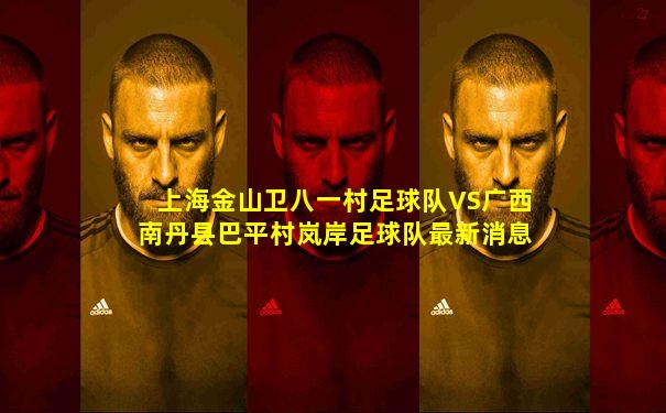 上海金山卫八一村足球队VS广西南丹县巴平村岚岸足球队最新消息