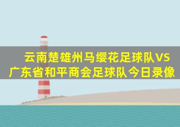 云南楚雄州马缨花足球队VS广东省和平商会足球队今日录像