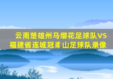 云南楚雄州马缨花足球队VS福建省连城冠豸山足球队录像