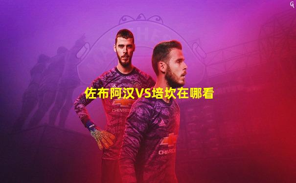 佐布阿汉VS培坎在哪看