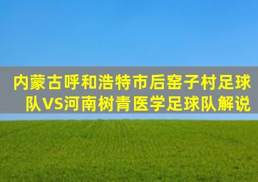 内蒙古呼和浩特市后窑子村足球队VS河南树青医学足球队解说