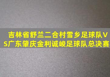 吉林省舒兰二合村雪乡足球队VS广东肇庆金利诚峻足球队总决赛