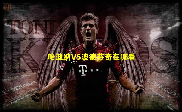 哈迪纳VS波德芬奇在哪看