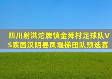 四川射洪沱牌镇金舜村足球队VS陕西汉阴县凤堰梯田队预选赛