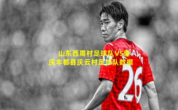 山东西周村足球队VS重庆丰都县庆云村足球队数据