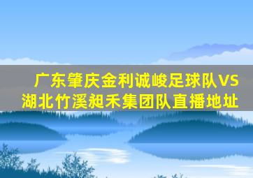 广东肇庆金利诚峻足球队VS湖北竹溪昶禾集团队直播地址