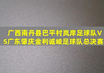 广西南丹县巴平村岚岸足球队VS广东肇庆金利诚峻足球队总决赛