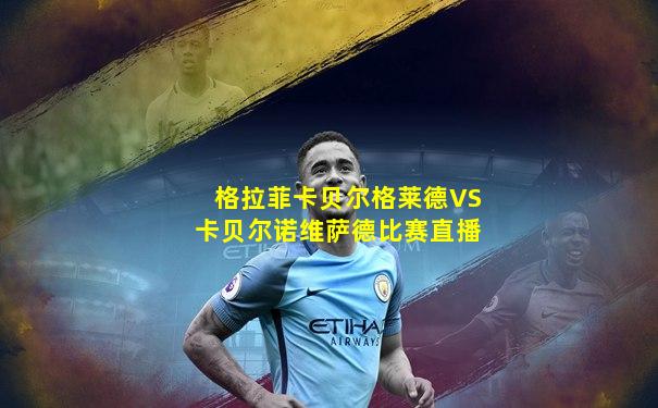 格拉菲卡贝尔格莱德VS卡贝尔诺维萨德比赛直播