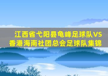 江西省弋阳县龟峰足球队VS香港海南社团总会足球队集锦