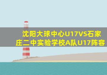 沈阳大球中心U17VS石家庄二中实验学校A队U17阵容