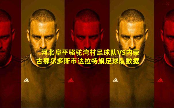 河北阜平骆驼湾村足球队VS内蒙古鄂尔多斯市达拉特旗足球队数据