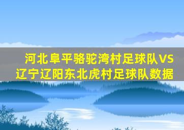 河北阜平骆驼湾村足球队VS辽宁辽阳东北虎村足球队数据