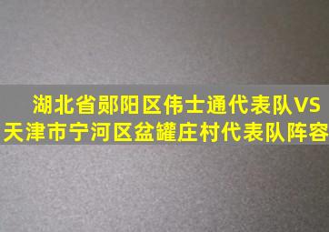 湖北省郧阳区伟士通代表队VS天津市宁河区盆罐庄村代表队阵容