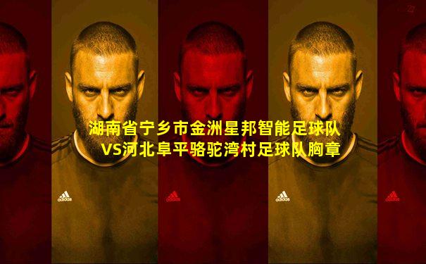 湖南省宁乡市金洲星邦智能足球队VS河北阜平骆驼湾村足球队胸章