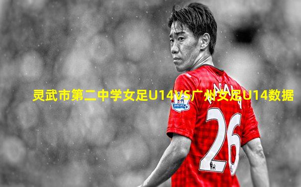 灵武市第二中学女足U14VS广州女足U14数据