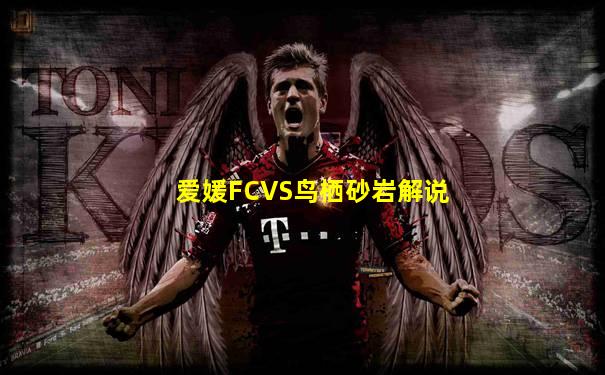 爱媛FCVS鸟栖砂岩解说