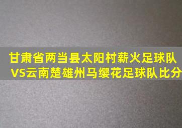 甘肃省两当县太阳村薪火足球队VS云南楚雄州马缨花足球队比分