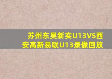 苏州东吴新实U13VS西安高新易联U13录像回放