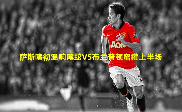 萨斯喀彻温响尾蛇VS布兰普顿蜜獾上半场