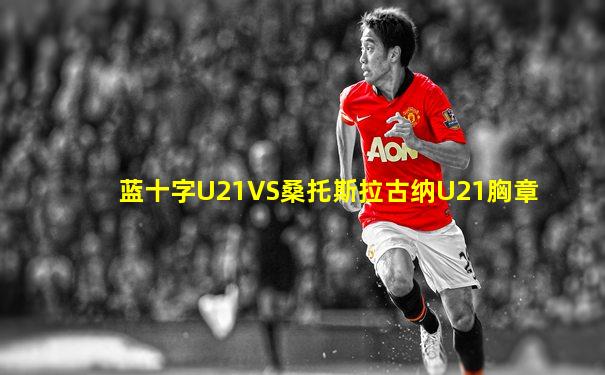 蓝十字U21VS桑托斯拉古纳U21胸章