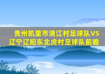 贵州凯里市清江村足球队VS辽宁辽阳东北虎村足球队前瞻