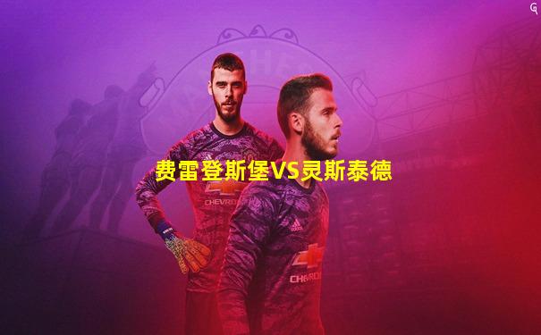 费雷登斯堡VS灵斯泰德