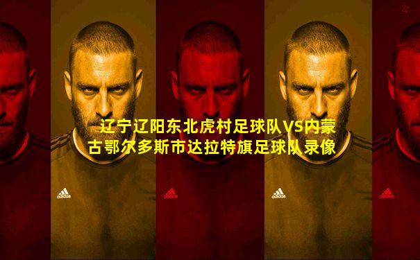辽宁辽阳东北虎村足球队VS内蒙古鄂尔多斯市达拉特旗足球队录像
