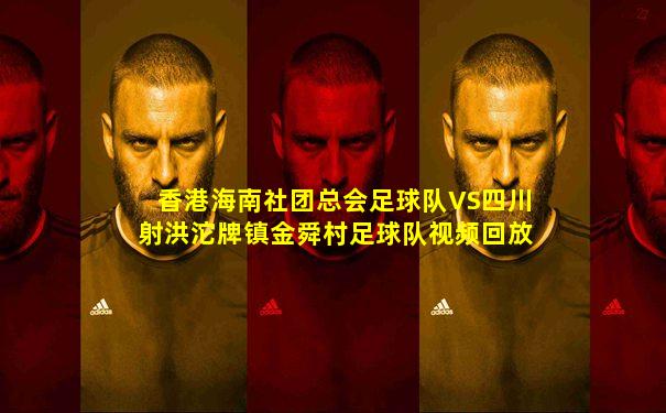 香港海南社团总会足球队VS四川射洪沱牌镇金舜村足球队视频回放