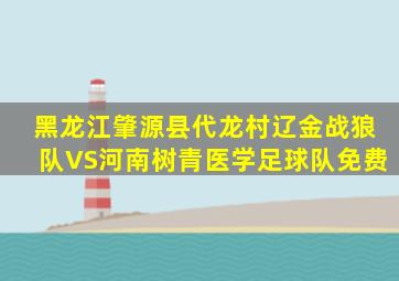 黑龙江肇源县代龙村辽金战狼队VS河南树青医学足球队免费